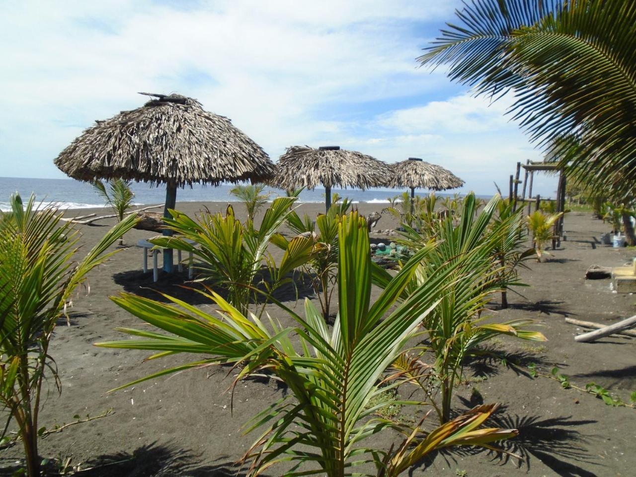 Marbella Eco Lodge Monterrico Exteriör bild